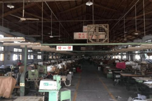 莆田老牌鞋廠3300萬被拍賣，三條成型線背后折射產業轉型之痛